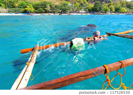 Jinbei Shark Tour 117526530
