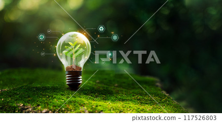 Globe bulb and renewable energy concept of sustainable development environmental protection achieve business goals, green business. Globe bulb and renewable energy concept of sustainable development environmental protection achieve business goals, green business. 117526803