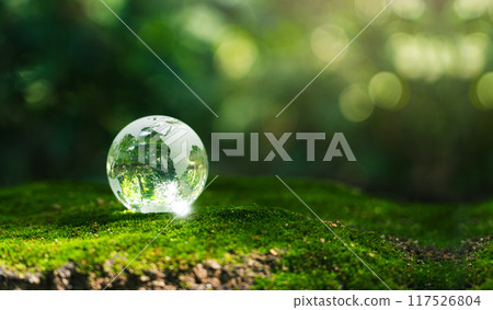 Crystal earth in forest Environment, save world, earth day and conservation and renewable energy concept. Crystal earth in forest Environment, save world, earth day and conservation and renewable energy concept. 117526804