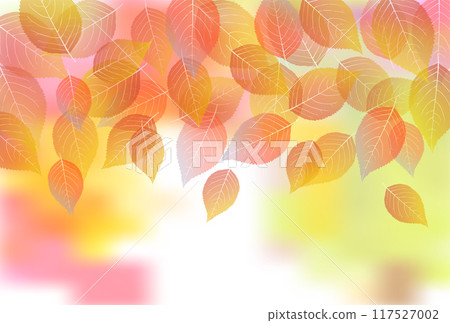 Autumn leaves autumn background 117527002