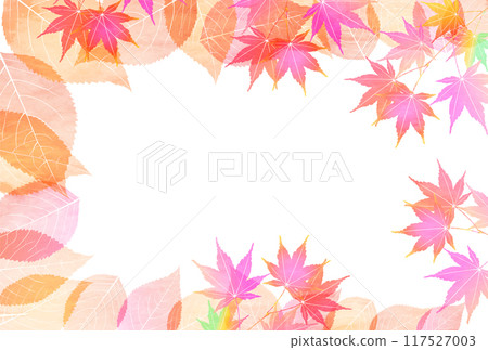 Autumn leaves autumn background Autumn leaves autumn background 117527003