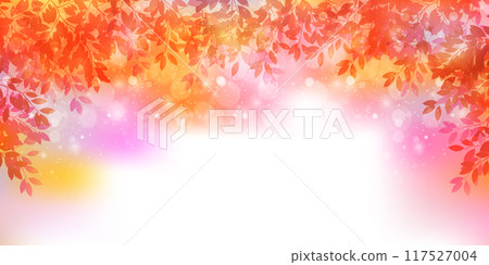 Autumn leaves autumn background Autumn leaves autumn background 117527004