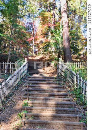 Omachi Park: Stairs leading up to Momijiyama (Omachi Nature Observation Park), Ichikawa City, Chiba Prefecture 117527069