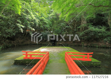 充滿負離子的宇佐神社的神社景色 充滿負離子的宇佐神社的神社景色 117527216