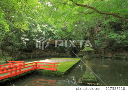 The mysterious scenery of the purification shrine at Usa Shrine 117527218