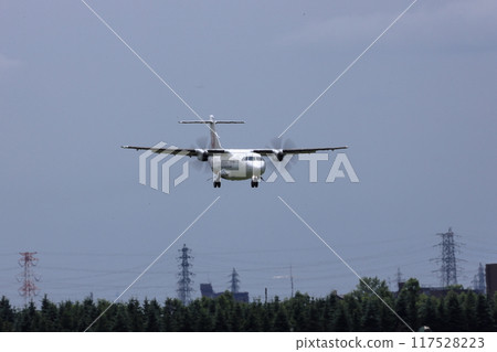 Wings of Hokkaido 117528223