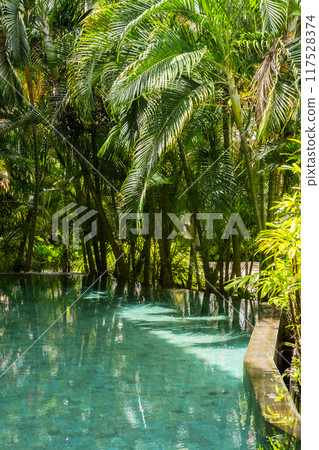 Tropical poolside view with lush green palm trees and sunlight reflection. 117528374