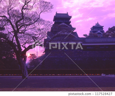 熊本城、大大小小的天守閣（又稱銀杏城）和朝陽/“日本三大名城”/“國家指定特別史蹟” 117528427