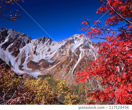 Hotakadake (Kitahotakadake) Northern Alps and autumn leaves of rowan trees / View from the panoramic course from Tokusawa to Karasawa Cirque, Kamikochi Hotakadake (Kitahotakadake) Northern Alps and autumn leaves of rowan trees / View from the panoramic course from Tokusawa to Karasawa Cirque, Kamikochi 117528436