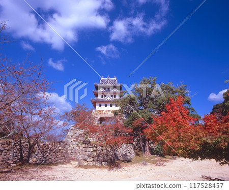 Awaji Island, Sumoto Castle (also known as Mikuma Castle) on Mount Mikuma and autumn cherry blossoms / "Nationally designated historic site" / "Setonaikai National Park" 117528457