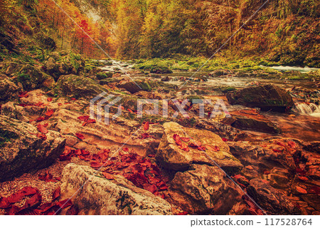 Vintgar gorge, Slovenia Vintgar gorge, Slovenia 117528764