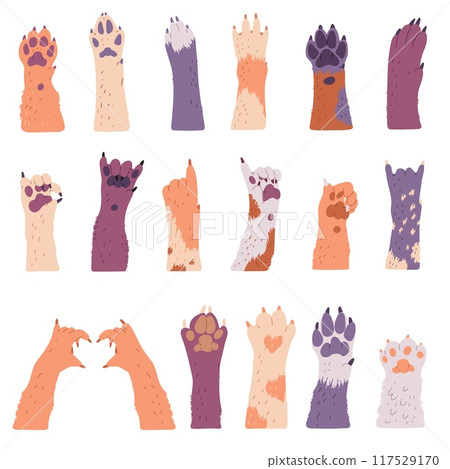 Dog or cat fluffy paws vector set, cute animal various foots striped or spotted, funny pet furry paw gesture with finger 117529170