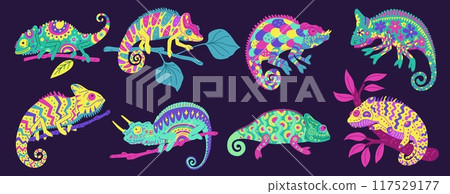 Cute colorful beautiful painted chameleon with curled tail flat vector set, exotic wild guana, tropical lizard animal 117529177