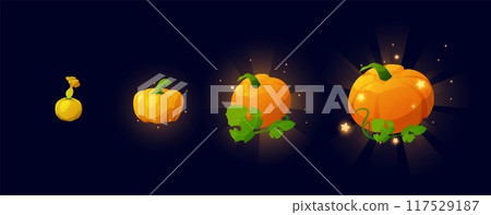 Set of growing sparkling pumpkins flat style, vector illustration 117529187