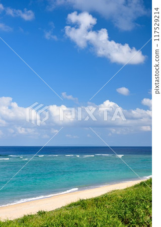 Amami Oshima: Clear autumn skies and refreshing sea 117529214