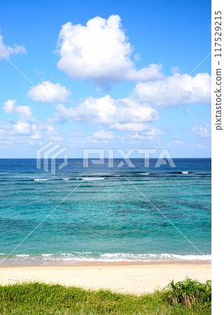 Amami Oshima: Clear autumn skies and refreshing sea 117529215