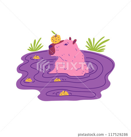 Vector illustration with a funny capybara sitting in the water with a tangerine nose Vector illustration with a funny capybara sitting in the water with a tangerine nose 117529286