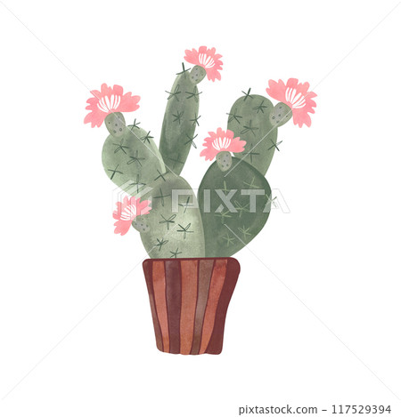 Cactus in a wicker basket. Plants for the home. Floriculture. Interior decoration. Isolated watercolor illustration on white background. Clipart. 117529394