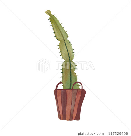 Cactus in a wicker basket. Plants for the home. Floriculture. Interior decoration. Isolated watercolor illustration on white background. Clipart. 117529406