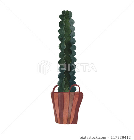 Cactus in a wicker basket. Plants for the home. Floriculture. Interior decoration. Isolated watercolor illustration on white background. Clipart. Cactus in a wicker basket. Plants for the home. Floriculture. Interior decoration. Isolated watercolor illustration on white background. Clipart. 117529412