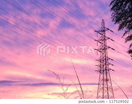 夕陽下染成的電線桿 117529502