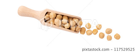 pile of shelled hazelnut in wooden scoop isolated on white pile of shelled hazelnut in wooden scoop isolated on white 117529525