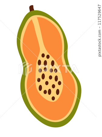 Papaya Element. Concept of healthy food and product. Summer fruit. Vector flat illustration. 117529647