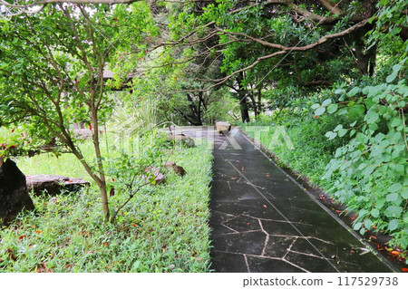 樹木叢生的公園裡的黑色鵝卵石路 樹木叢生的公園裡的黑色鵝卵石路 117529738
