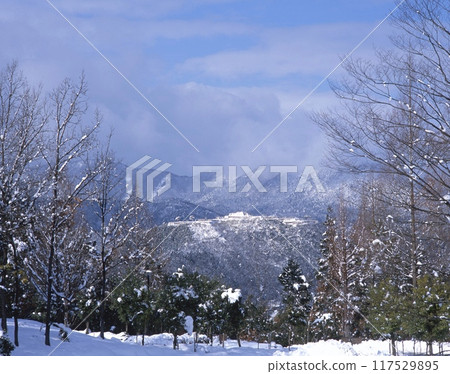Snowy scenery of the castle in the sky, Takeda Castle Ruins / View from the middle of Mount Asago / One of Japan's 100 famous castles / Nationally designated historic site / Wadayama-cho, Asago City, Hyogo Prefecture 117529895