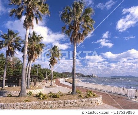 充滿熱帶風情的唐船海岸和伊江島 / 赤穗岬/“瀨戶內海國立公園”/兵庫縣赤穗市 117529896