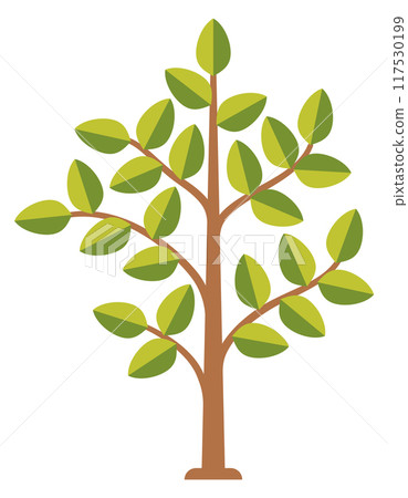 Growing tree icon. Flat green foliage plant Growing tree icon. Flat green foliage plant 117530199