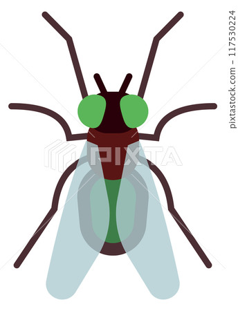 Fly color icon. Pest symbol. Wild insect Fly color icon. Pest symbol. Wild insect 117530224