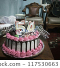birthday cake 117530663