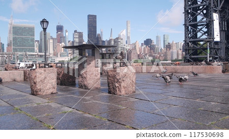 New York City waterfront skyline, Manhattan Midtown riverfront skyscrapers. Cityscape from Queens. New York City waterfront skyline, Manhattan Midtown riverfront skyscrapers. Cityscape from Queens. 117530698