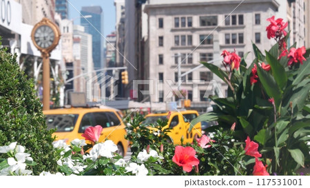 New York City Manhattan Broadway, 23 street, 5 avenue crossroad. Worth, Madison Square, Flatiron USA New York City Manhattan Broadway, 23 street, 5 avenue crossroad. Worth, Madison Square, Flatiron USA 117531001