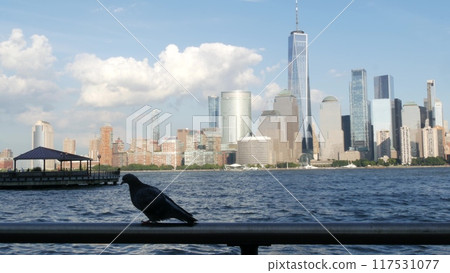 New York City waterfront skyline, Manhattan Downtown Financial district, World Trade Center cityscape 117531077