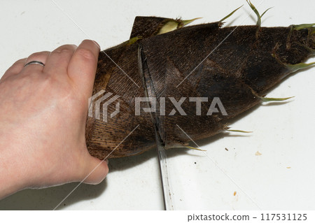 Preparation for removing the bitterness from bamboo shoots: Cut them into pieces that will fit in the pot. Preparation for removing the bitterness from bamboo shoots: Cut them into pieces that will fit in the pot. 117531125