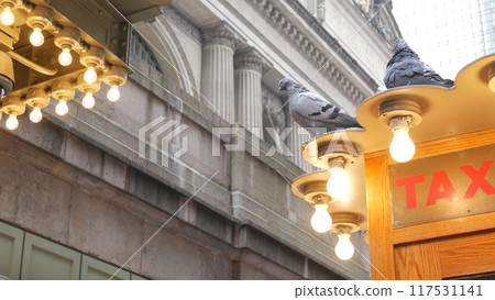 New York City Grand Central Terminal 42 street, Manhattan, USA. Yellow taxi kiosk telephone call box 117531141