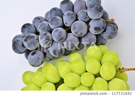 閃耀玫瑰香和無核巨峰葡萄、葡萄、水果、水果、葡萄。 閃耀玫瑰香和無核巨峰葡萄、葡萄、水果、水果、葡萄。 117531842