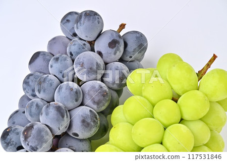 閃耀玫瑰香和無核巨峰葡萄、葡萄、水果、水果、葡萄。 117531846