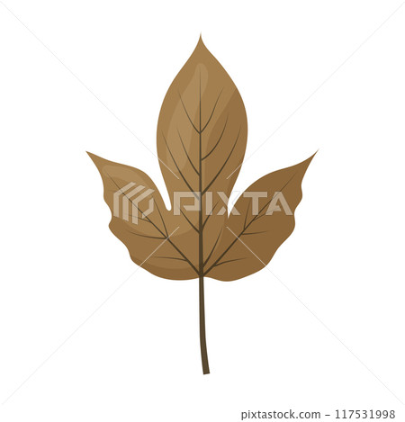 autumn colored bright leaf highlighted on a white background. autumn colored bright leaf highlighted on a white background. 117531998