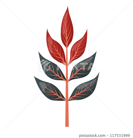 autumn colored bright leaf highlighted on a white background. autumn colored bright leaf highlighted on a white background. 117531999