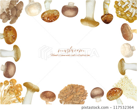 Frame material of various mushrooms drawn by watercolor 117532364