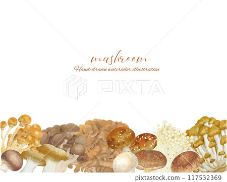 Watercolor hand-drawn background of various mushrooms 117532369