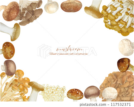 Frame material of various mushrooms drawn by watercolor 117532371