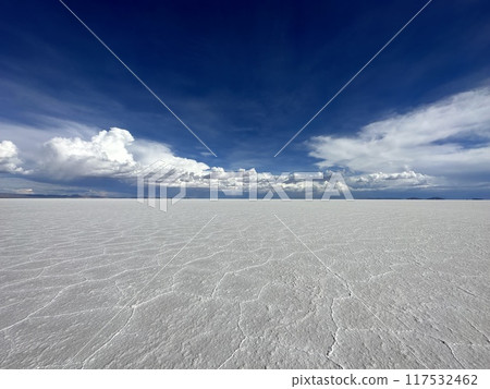 Bolivia: Uyuni Salt Flats 117532462