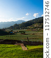 Cabbage farm plantation in mountain valley with houses 117532746