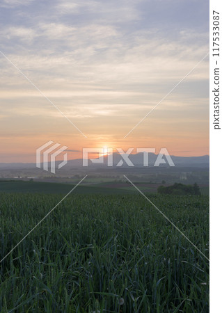 Early summer morning sun rising over Mount Daisetsu in Biei, Hokkaido 117533087