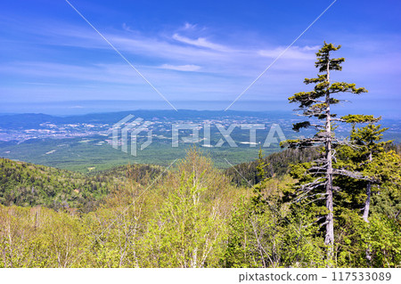 View from Tokachidake Onsen in early summer in Kamifurano, Hokkaido 117533089