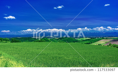 北海道美瑛町初夏五陵山的風景 北海道美瑛町初夏五陵山的風景 117533097